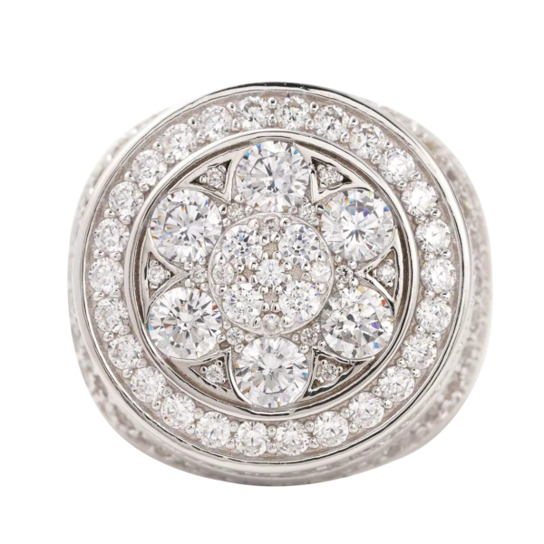 Custom Moissanite Diamond Rings for Men--8